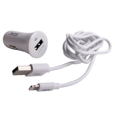 4ft Lightning(R) to USB Cable & 2.1 Amp DC Charger, White