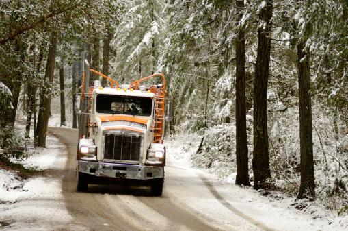 Trucker Tales: Holidays On The Road